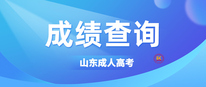 山东成考2022年成绩查询入口