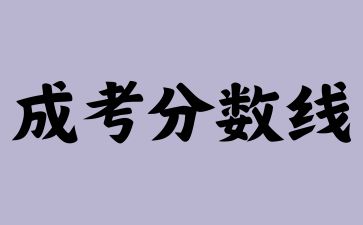 2024年山东成考过了最低分数线就能录取吗?