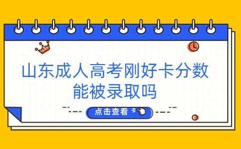 山东成人高考