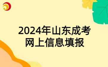 山东成考