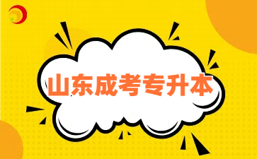 山东成人高考专升本