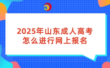 2025年山东成人高考怎么进行网上报名